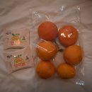 운하농장 이미지