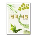 생각의집 이미지