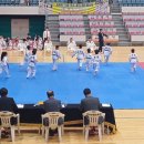 태권도예일체육관 이미지