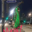 네일드로아
