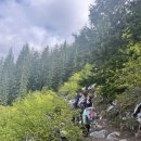 26년 5월 23일 합동산행 Mason Lake 왕복 6.8 마일 이미지