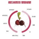 제주건강즙 | 혈압 관리 건강식품 찾는다면? 제주 레드비트즙 솔직후기