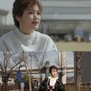 모트그라피