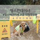 멍스 컨테이너 | 신상 일산애견카페 멍스컨테이너 중대형견전용 포토존맛집 천연잔디 실내이용가능