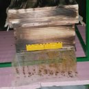 왕벌농장 이미지