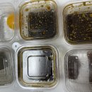 철길부산집 운양점