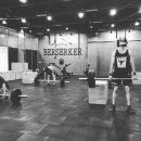 크로스핏버서커 이미지