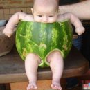 참 한삼 이미지