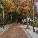 목동한강공인중개사사무소 이미지