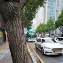 수원-1707 이미지