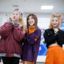 용인실내체육관 이미지