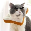 (주)카라 이미지