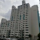 새용인동물약국 이미지