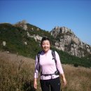 뽀숑뽀숑 이미지