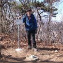 천마산농원 Daum카페