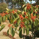 달맞이극장 이미지