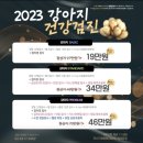 동대문 루시드 동물메디컬센터 이미지