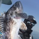 하나유선(하나호) 이미지