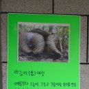 청송자연식품