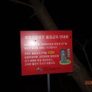 영춘농산 Daum카페