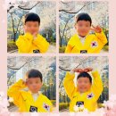 무궁화태권도장 | 7살태권도 장점과 단점 1년보내본 후기