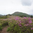 좋은아침 이미지