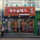 장수갈매기 이미지