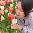 은평청파도서관 | 자유로운 우리를 봐 자유로워