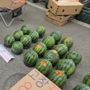 창녕군창녕읍옥천보건진료소 | 옥천 장날 오일장 구경하기