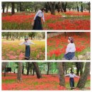 금원산계곡화장실 이미지