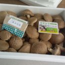 선우농장2 이미지