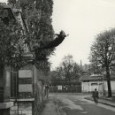 길양복세탁 이미지