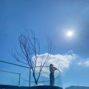 다모아힐링 이미지