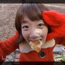📕 2026 다이어리를 골라보자 📕