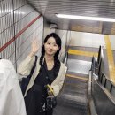낭만의류153 | 여름이 오기 전의 도쿄 여행_2