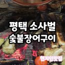 소사벌숯불장어구이 | 평택 비전동 맛집 소사벌 숯불 장어구이 후기
