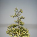 삼서면사무소 이미지