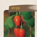 조은한약 Daum카페