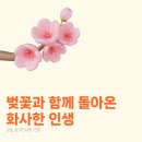 화(花) - 홍성군 | 화(花)