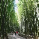 직업상담사 필기 - 노동시장론 이미지