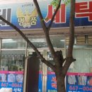 롯데세탁소 이미지