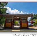 월정사 탑돌이 | 평창 가볼 만한 곳, 강원도 오대산 월정사 주차장 요금, 전나무 숲길 산책과 힐링 코스