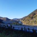 푸른들목장 이미지