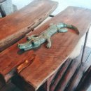 참나무쟁이카페 이미지