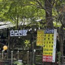 419 | [북한산 백숙] 계곡물소리와 자연의 싱그러움이 함께하는 419맛집 단군산장 방문 후기
