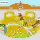 억새정원 이미지