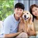 프리드라이프인천