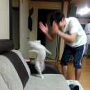 초로직구