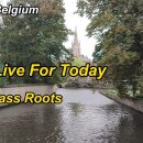 The Grass Roots / Lets Live For Today 이미지