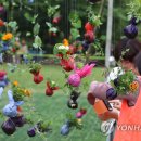 일자산자연공원(도시농업공원) 이미지